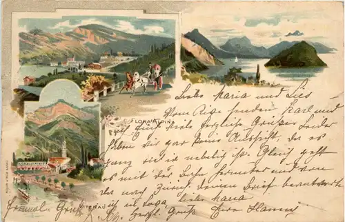 Vitznau - Flora Alpina - Litho -93548