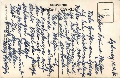 Australia - Kookaburra - Snake -95274