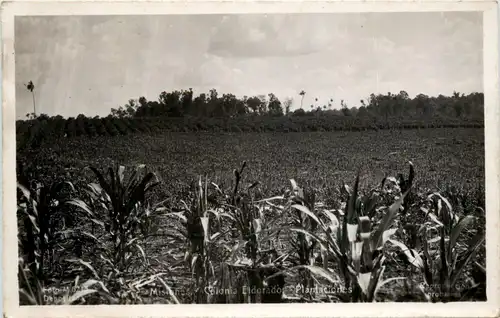 Misiones Colonia Eldorado -95710