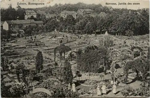 Zabern - Rosengarten - Saverne -96150