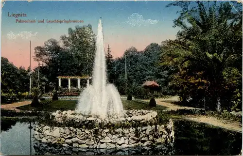 Liegnitz - Palmenhain und Leuchtspringbrunnen -95272