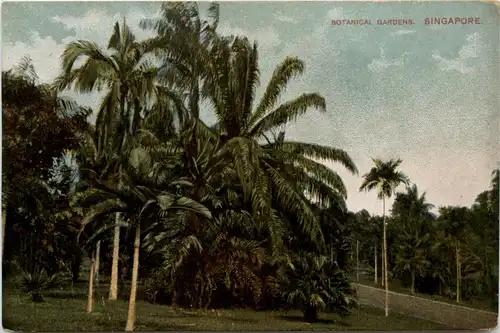 Singapore - Botanical Gardens -95914