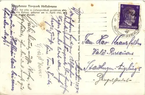 München - Tierpark Hellabrunn - Elephant -95902