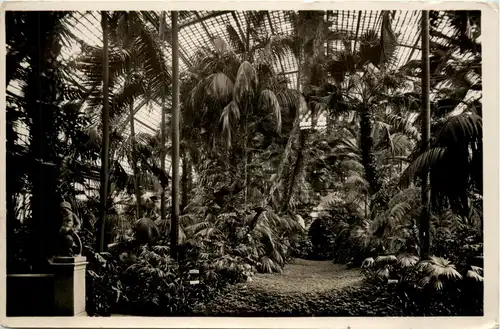Frankfurt a.M. - palmengarten -367872