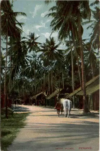 Penang - Native Village -95916