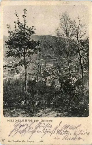 Heidelberg, vom Gaisberg -368368