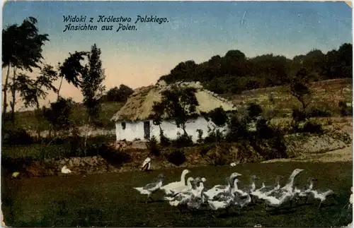 Ansichten aus Polen -96878