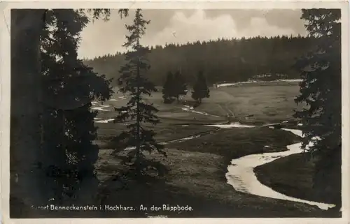 Kurort Benneckenstein i. Hochharz, An der Rappbode -368498