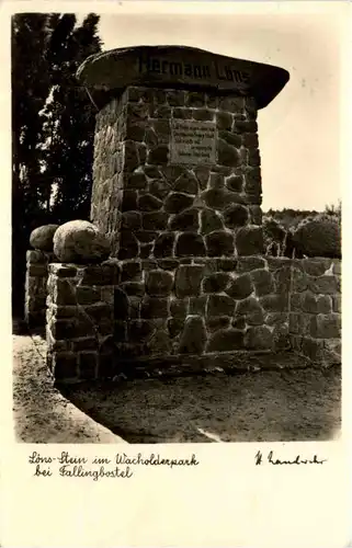 Fallingbostel, Löns-Stein im Wacholderpark -369272