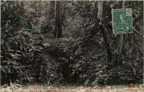 Tonkin - Yen-The -79972