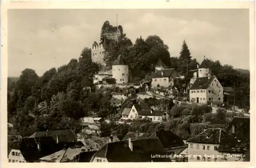 Pappenheim, Burg von Osten -370128