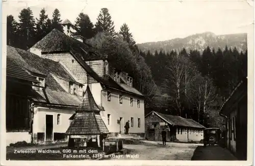 Zwieseler Waldhaus mit Falkenstein -369044