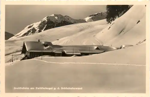 Breitfussalm am Zwölferkogel g.d. Schönhoferwand, Saalbach -370358