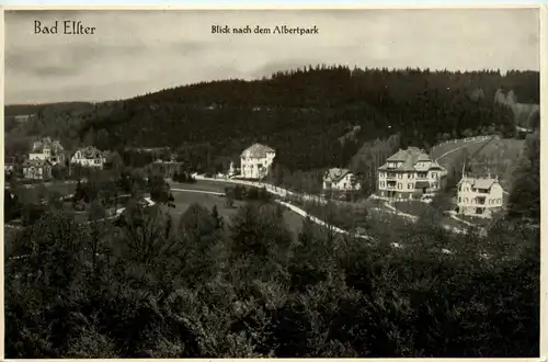 Bad Elster, Blick nach dem Albertpark -367980