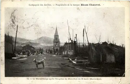 Martinique - Le Morne Rouge apres l eruption du Mont Pele -81812