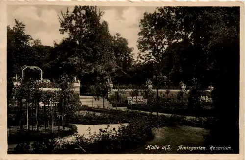 Halle a.S., Amtsgarten, Rosarium -370490