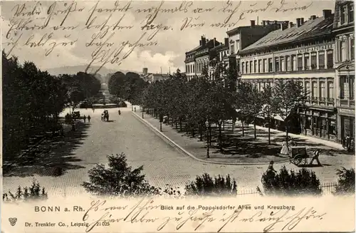 Bonn. Blick auf die poppelsdorfer Allee und Kreuzberg -368920