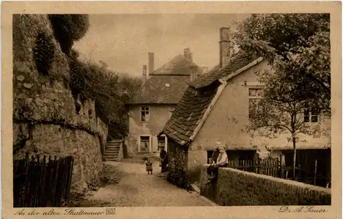 Dr.A.Sauer, An der alten Stadtmauer, Stimmungsbilder, Zwingenberg -370864