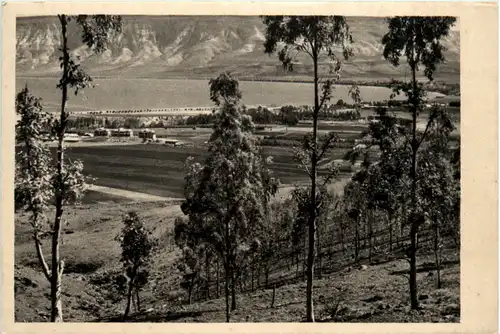 Israel - Kibbutz Kinereth -100034