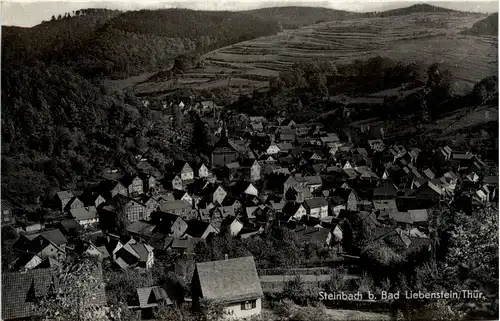 Steinbach bei Bad Liebenstein -100952