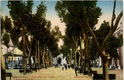 Gran Canaria - Las Palmas -100486