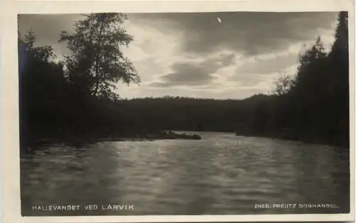 Hallebandet ved Larvik - Norway -100762