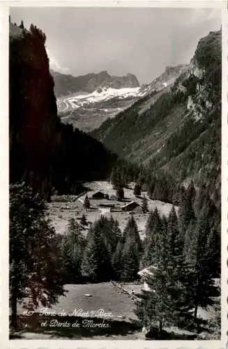 Pont de Nant sur Bex -101332