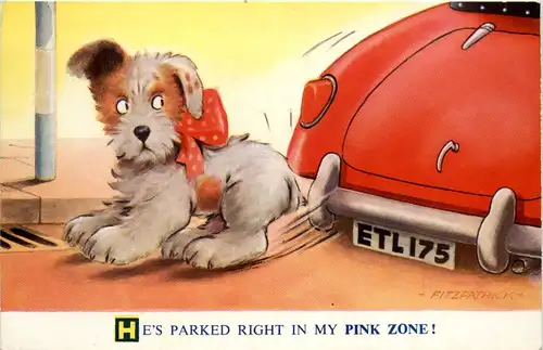 Humor - Pink Zone -100148