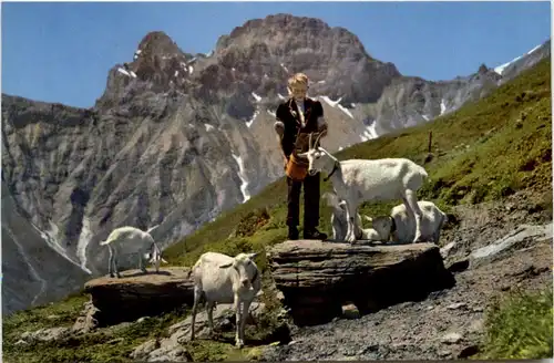 Sur l Alpe - Ziegen -101006