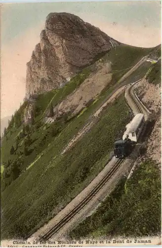 Chemin de fer des Rochers de Naye -101262