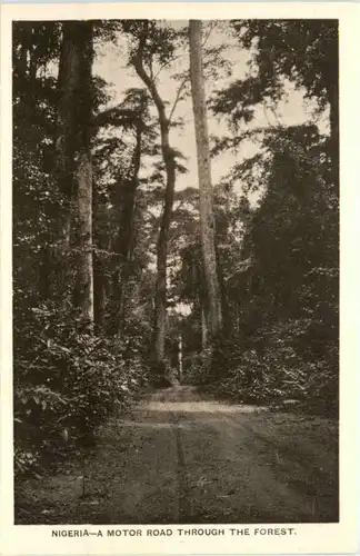 Nigeria - A Motor Road through the Forest -101146