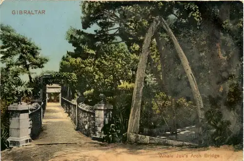 Gibraltar - Whale Jaws Arch Bridge -101094