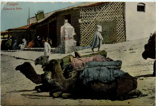 Tangier - Camels at Soko -101190