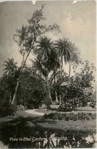 Calcutta - View in Eden Gardens -102248