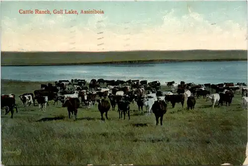 Assiniboia - Gull Lake -101414