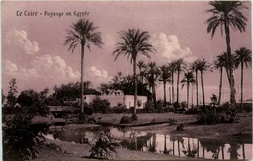 Cairo - Paysage en Egypte -97032