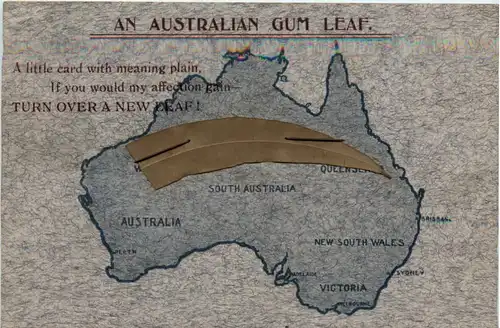 An Australian Gum Leaf -97114