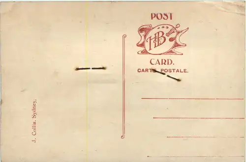 An Australian Gum Leaf -97114