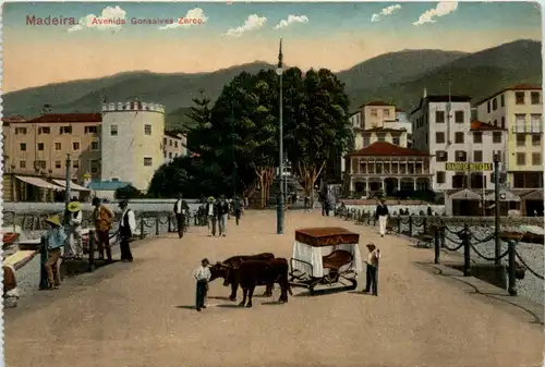 Madeira - Avenida Gonsalves Zarco -101630