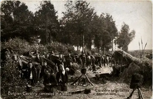 Belgian Cavalry concealed in a wood -97330