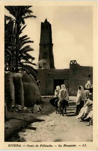 Biskra - Oasis de Filliache -102164