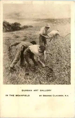 Durban Art Gallery -102148