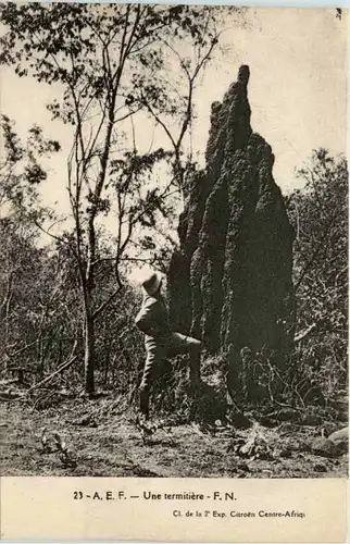 Une termitiere -97718