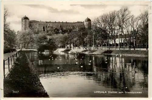 Uppsala - Slottet och Swandsmmen -100644