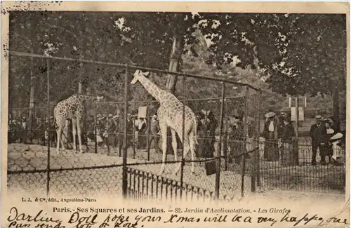 Paris - Jardin d Acclimatation - Les Girafes -100724