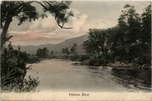Pelorus River - New Zealand -97378