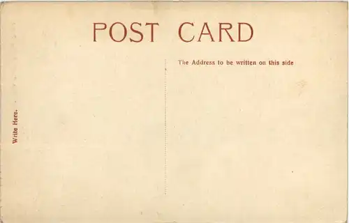 Delhi - Street scene -102240