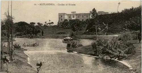 Alexandria - Garden of Rosette -97904