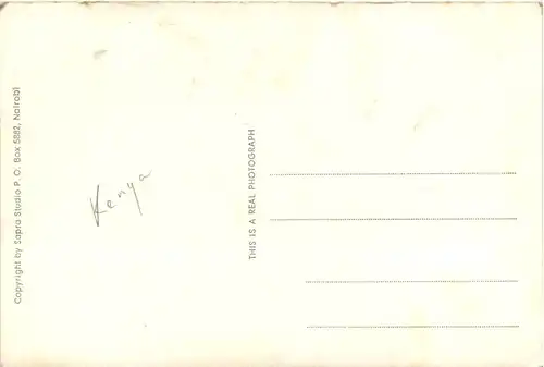 African Wild Life Crocodile -98332