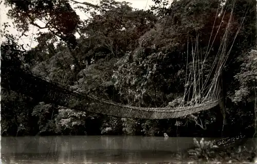 Kamerun . Pont de Lianes -98372